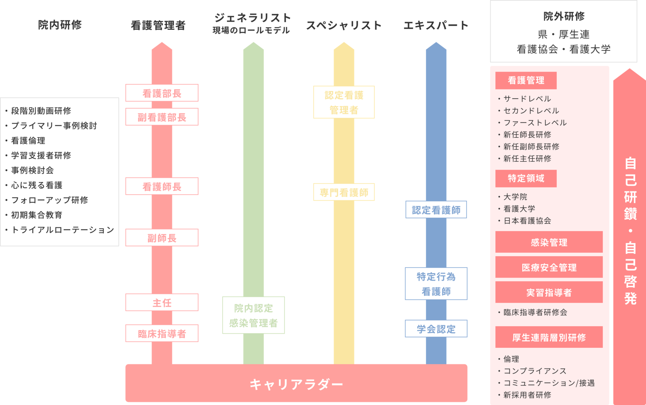 キャリアパス画像