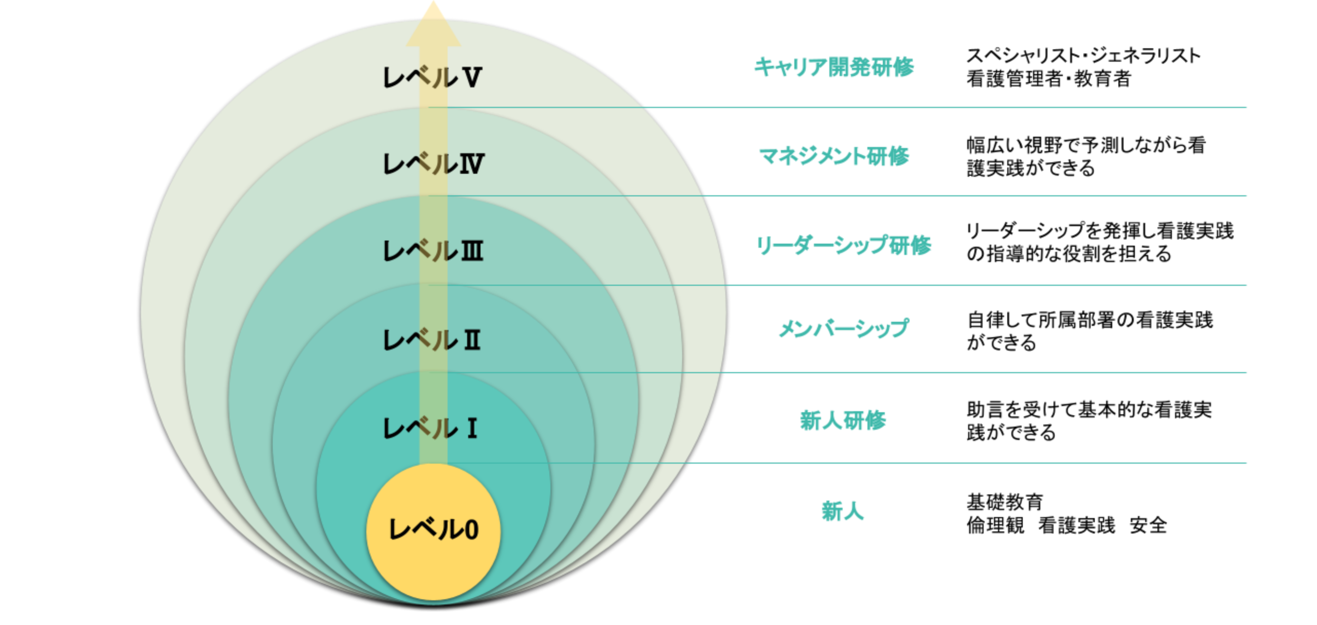 クリニカルラダーシステム イメージ